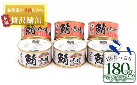サバ缶 若狭 6缶 詰め合わせ 缶詰 備蓄 サバ缶