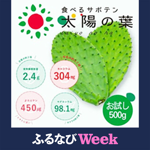 【ふるなびWEEK対象】【期間限定】食べるサボテン 太陽の葉 フレッシュリーフ(新芽限定・お試し500g)