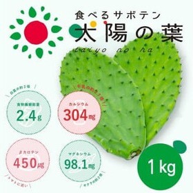 食べるサボテン 太陽の葉 フレッシュリーフ食用サボテン（１kg）