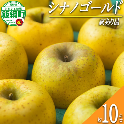 【 甘酸っぱい / シナノゴールド 】 りんご シナノゴールド 訳あり 10kg 2026年11月上旬頃から2026年12月上旬頃まで順次発送予定 ふるさと振興公社 リンゴ 林檎 長野県 飯綱町 [2023]