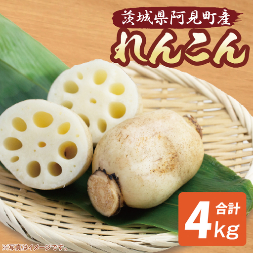 れんこん 4kg 蓮根 レンコン 野菜 エコ栽培 国産 茨城県産 茨城県 阿見町 新鮮 農家直送 産地直送 (89-02)