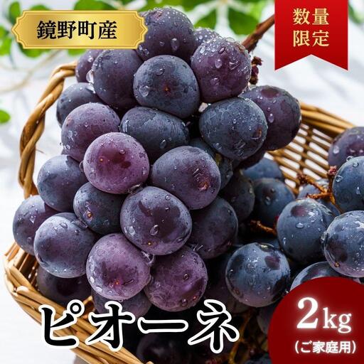【期間限定】鏡野町産 ピオーネ 2kg（ご家庭用）【004-a029】