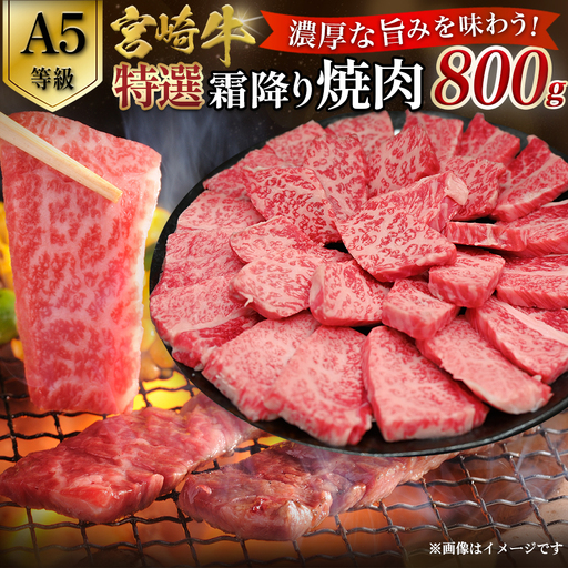 【A5等級】宮崎牛特選霜降り焼肉 800g（400g×2P） 宮崎牛 ブランド牛 和牛 牛肉 焼肉 特選和牛 霜降り A5 宮崎県 小林市