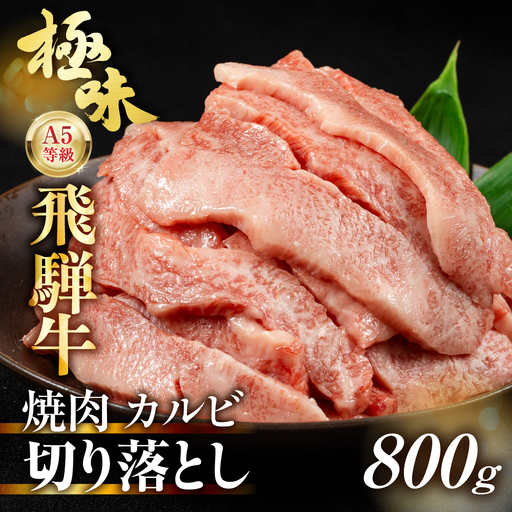 【11月発送】訳あり A5等級飛騨牛 カルビ切り落とし800g（400g×2パック）| 肉 切り落とし カルビ FH024VC11