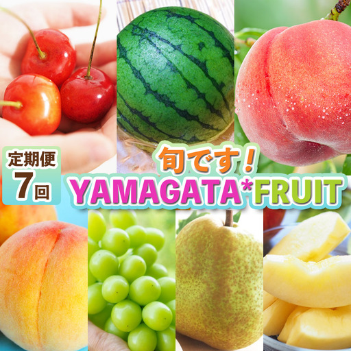 [定期便7回]旬です!YAMAGATA*FRUIT FZ25-285
