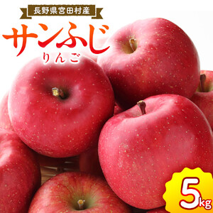 サンふじリンゴ (5kg)(予約制)( サンふじ 林檎 )