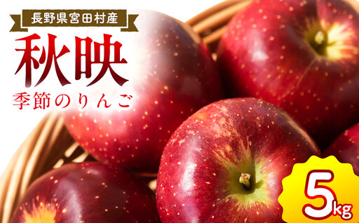 季節のりんご『秋映』(5kg)(予約制)( りんご 林檎 )