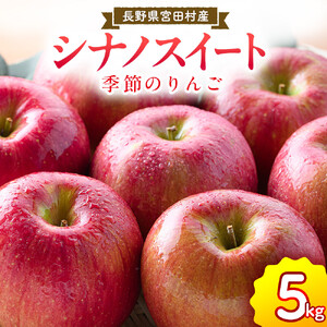 季節のりんご『 シナノスイート 』(5kg)(予約制)( シナノスイート 林檎 )
