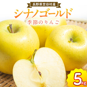 季節のりんご『 シナノゴールド 』(5kg)(予約制)( シナノゴールド 林檎 )