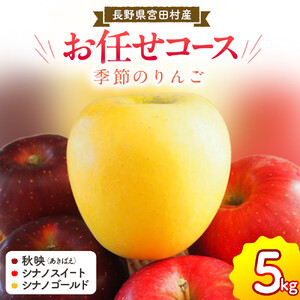 季節のりんご 『お任せコース』(5kg)(予約制)(りんご 林檎 )