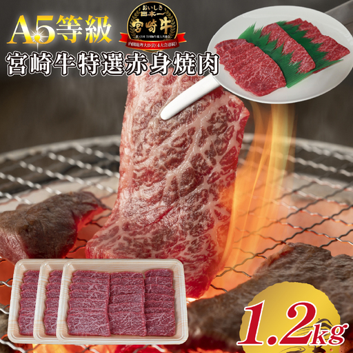 【A5等級】宮崎牛特選赤身焼肉 1.2kg  宮崎牛 ブランド牛 和牛 牛肉 焼肉 特選和牛 赤身 A5 宮崎県 小林市
