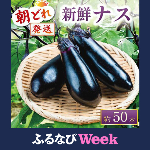 [ふるなびWEEK対象] [先行受付] 朝どれナス 約50本 | ナス