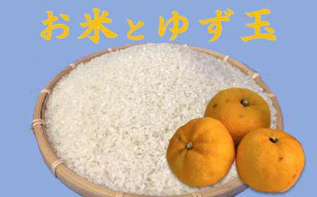 米 2合 ゆず 3個 セット ヒノヒカリ 少量 お試し セット商品 詰合せ 詰め合わせ 柑橘 果物 フルーツ 柚子 ふるさと納税 人気 高知 安田町 TR-21
