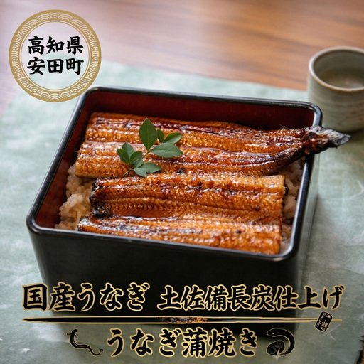 国産 うなぎ 蒲焼き 2尾