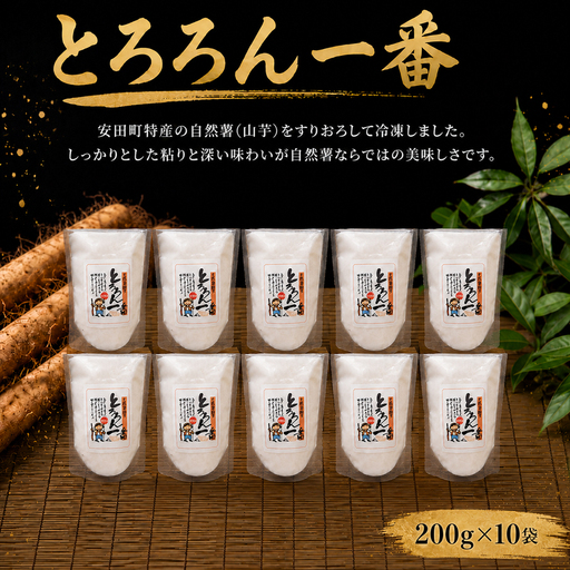 自然薯とろろん1番 10袋 とろろ 冷凍 小分け 自然薯 すりおろし JN-03