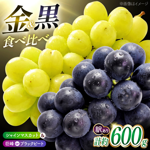 先行予約 訳あり種なしぶどう2種食べ比べ計約600g(シャインマスカット&巨峰orブラックビート)ぶどうシャインマスカットZFO004