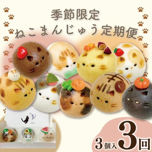 定期便 3回 上用まんじゅう ねこ 3個 セット 冷凍便