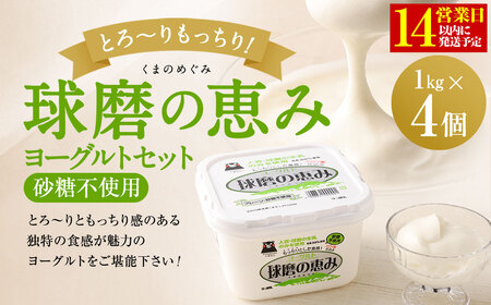 ヨーグル党総選挙 ム党の部 第2位受賞!球磨の恵みヨーグルトセット(砂糖不使用1kg×4個)[14営業日以内発送予定]