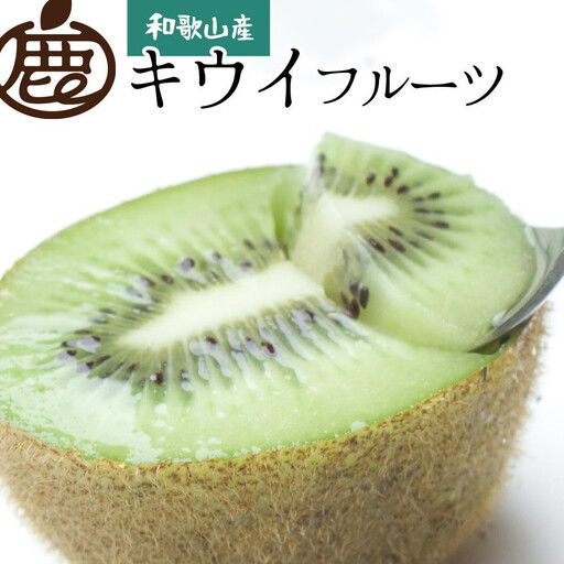 ［先行予約］厳選 キウイ1kg+250g（傷み補償分） 扁平果 ［IKE106］