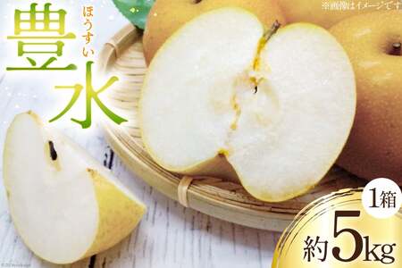 梨 豊水 1箱 約 5kg
