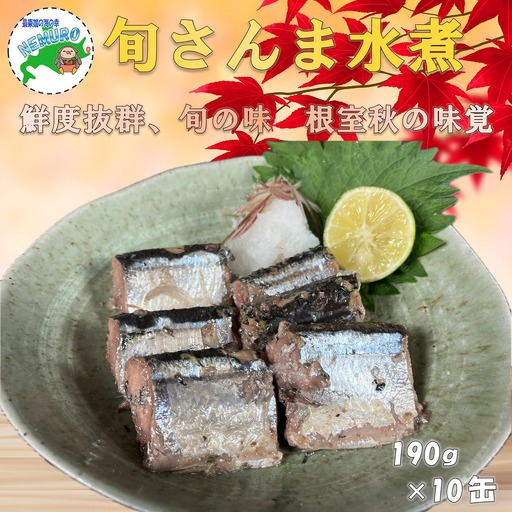 【北海道根室産】旬さんま水煮190g×10缶 B-78024