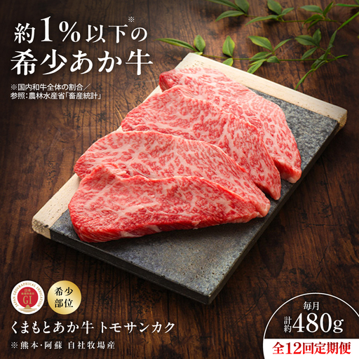 全12回定期便 GI認証 くまもとあか牛トモサンカク 約120g×4枚 ステーキ BHAS080  ステーキ