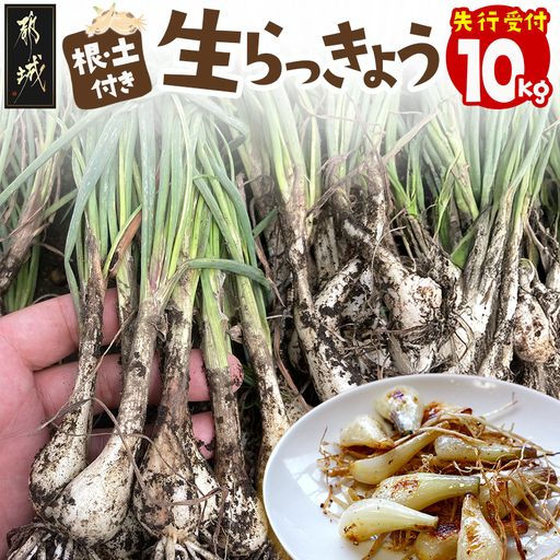 【先行受付!】根付き土付き生らっきょう10kg≪2027年5月中旬以降順次お届け≫〔24-L7-001-10kg〕_(都城市) 