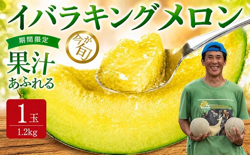 [2027年発送]イバラキングメロン(青肉) 1玉入 青肉品種 鉾田メロン! / イバラキング 果物 フルーツ ギフト 農家直送 kbn007_X1