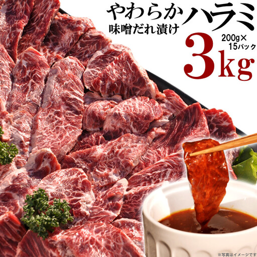やわらかハラミ味噌だれ漬け3kg（200ｇ×15）