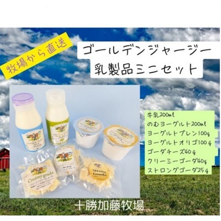 ゴールデンジャージー乳製品(牛乳・のむヨーグルト・プレン・オリゴ・チーズ3種)ミニセット【配送不可地域：離島】【1595681】
