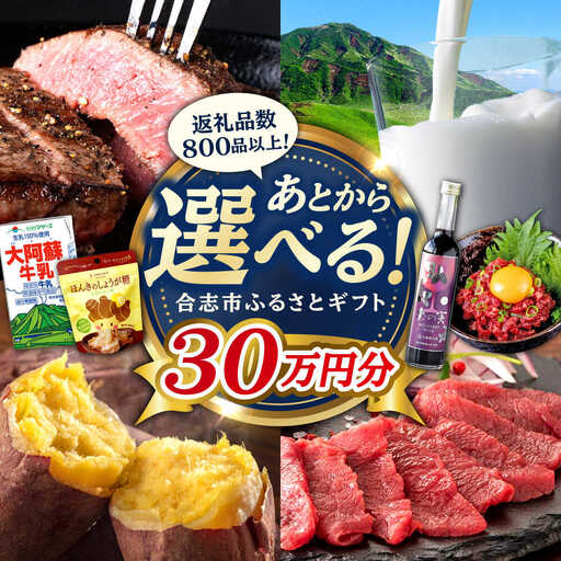 【あとから選べる！】合志市 ふるさとギフト 30万円分　【合志市役所】[AYBZ014]