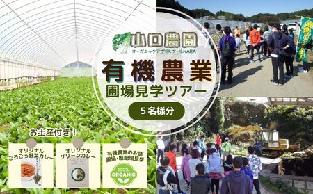 有機農業 圃場見学 ツアー お土産付 5名様迄/ 農業 農家 有機野菜 オーガニック 無農薬 SDGs 関西 体験 チケット カレー 山口農園 奈良県 宇陀市 ふるさと納税