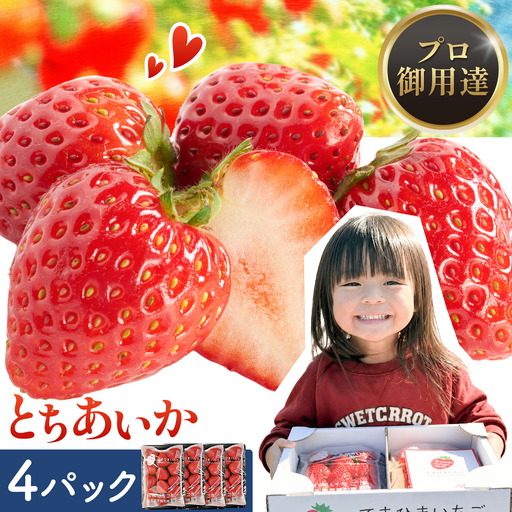いちご 栃木県芳賀町産 とちあいか 4パック 岩崎いちご園