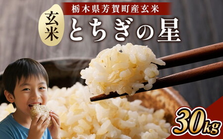 令和8年度産 とちぎの星30kg 栃木県芳賀町産玄米 | 米 お米 玄米 令和8年産 新米 とちぎの星 国産 単一米 期間限定 季節限定《2026年9月中旬-2027年1月末頃出荷予定》