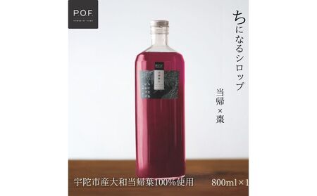 ちになるシロップ[大和当帰×棗]800ml 1本/ ふるさと納税 棗 シロップ 瓶 ガラス瓶 国産 食材 炭酸 大和当帰葉 有機 お湯割り 甜菜糖 ハチミツ はちみつ 送料無料 ち 奈良県 宇陀市 POWER OF FOOD