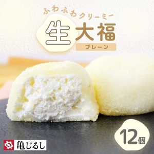 ふわふわクリーミー生大福プレーン 6個入り 2箱（MP-6)