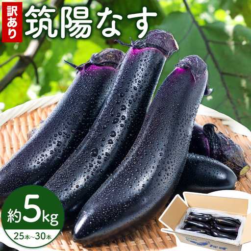 訳あり 筑陽なす 約5kg 25-30本 ナス 茄子 さつま園芸組合《7月上旬-9月末頃出荷》