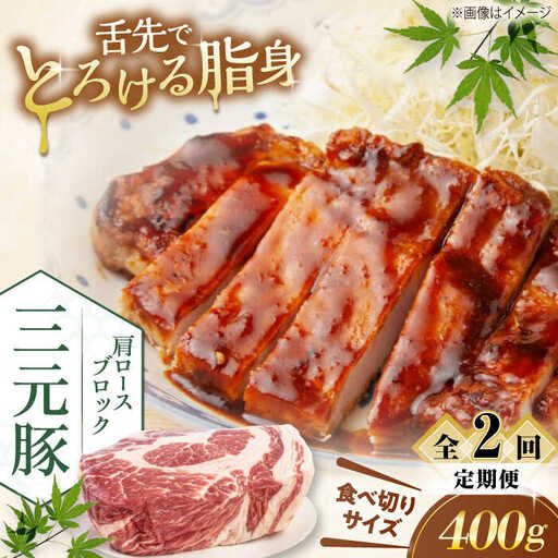 【全2回定期便】平田牧場 肩ロース ブロック 400g  豚肉 ローストポーク 煮豚 [AJAP160]