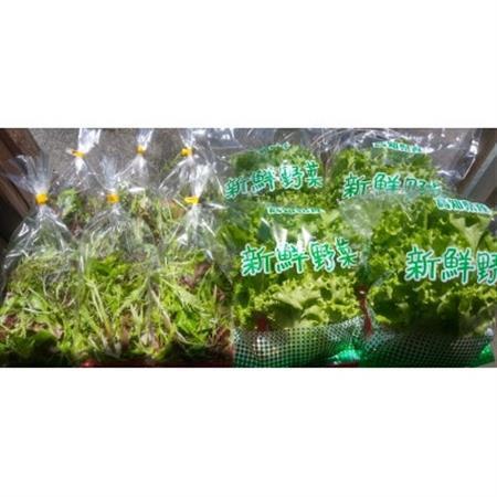 [栽培期間中農薬不使用]生鮮リーフレタス約100g×4袋 と ベビーリーフ約40g×6袋のセット [配送不可地域:離島]