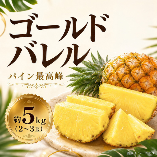 ゴールドバレル パイン （2～3玉・約5kg） パイナップル