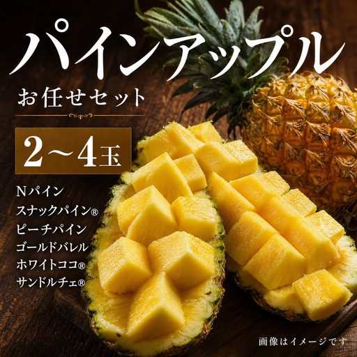 パインアップル お任せセット①  2～4玉 パイナップル