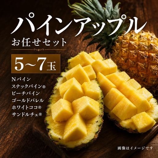 パインアップル お任せセット②  5～7玉 パイナップル　サンライズひがし