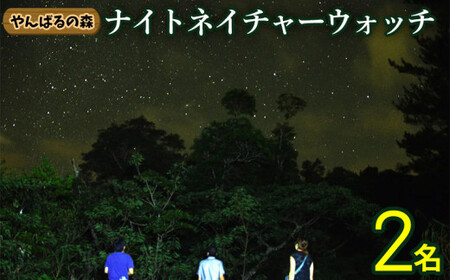 やんばるの森 ナイトネイチャーウォッチ 2名様