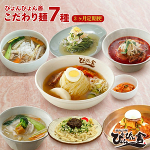 定期便 3回 麺類7種のMコース 麺 麺類 冷麺 温麺 じゃじゃ麺 冷蔵 ぴょんぴょん舎 岩手県 盛岡市