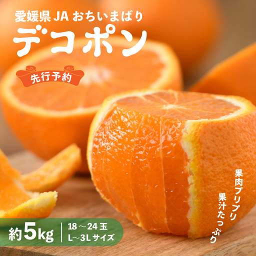 みかん[先行予約]瀬戸内のデコポン 約5kg 3L〜L 18玉〜24玉 JA選果品 上島・今治産 柑橘