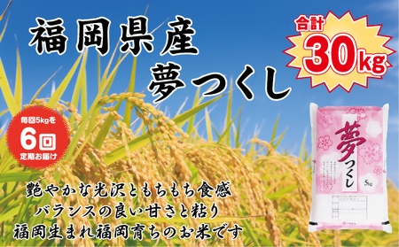 BZ-009_【令和7年産新米先行予約】【定期便6か月】食味鑑定士厳選　 福岡県産夢つくし5kg（5kg×1）6ヶ月連続で！　計30kg