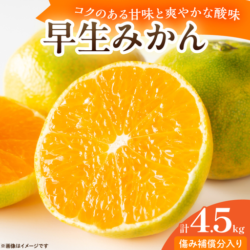 先行予約 早生みかん 計4.5kg 傷み補償分入り フルーツ_CV32-26
