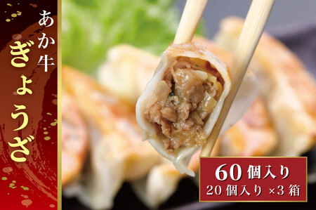 B301-15 熊本和牛あか牛ぎょうざ 60個（あか牛ぎょうざ20個入り×3箱）