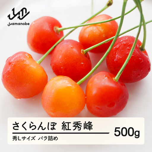 《先行予約》 さくらんぼ 紅秀峰 秀Lサイズ 500g バラ詰め 2027年産 令和9年産 山形県産 ns-bsslb500