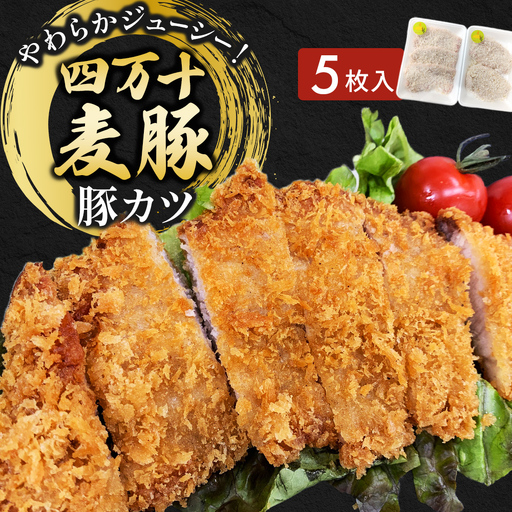 四万十麦豚 豚カツ （約100g×5枚）麦豚 トンカツ 冷凍 背ロース Ahc-17